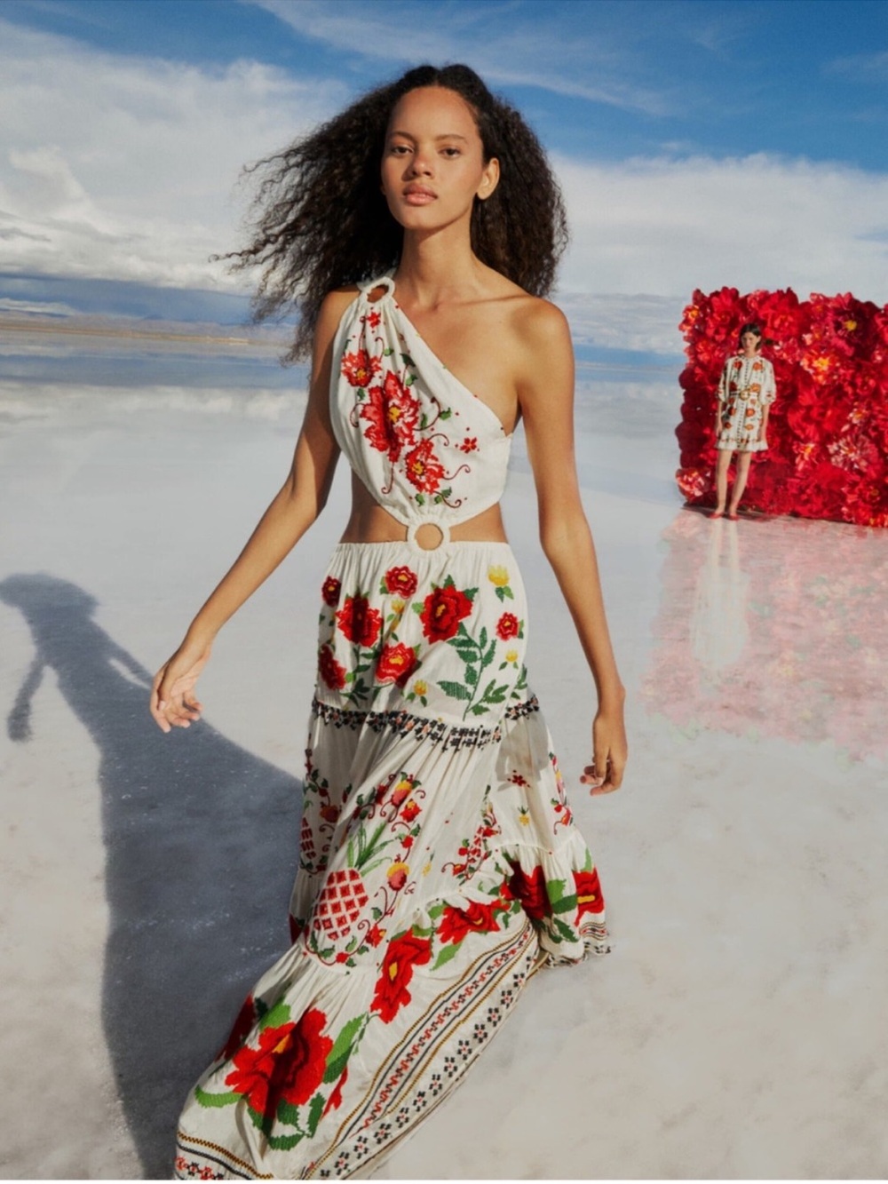 Farm Rio Embroidered Carmina Floral Maxi Dress Size S Small NWT - Picture 3 of 8